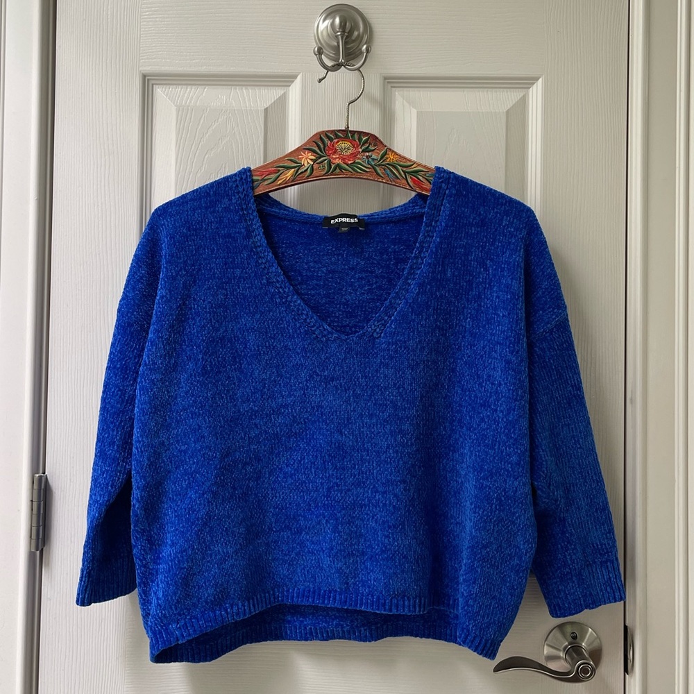 Express Electric Blue Chenille Sweater